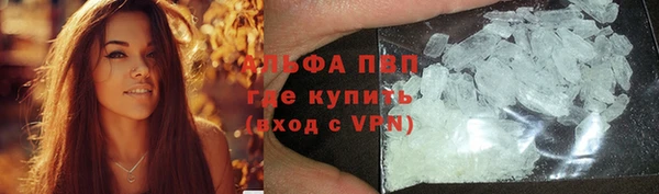 apvp Алзамай