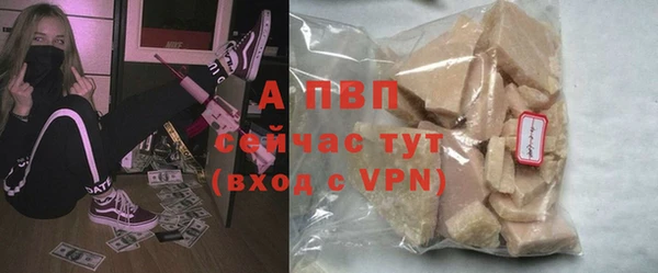 apvp Алзамай