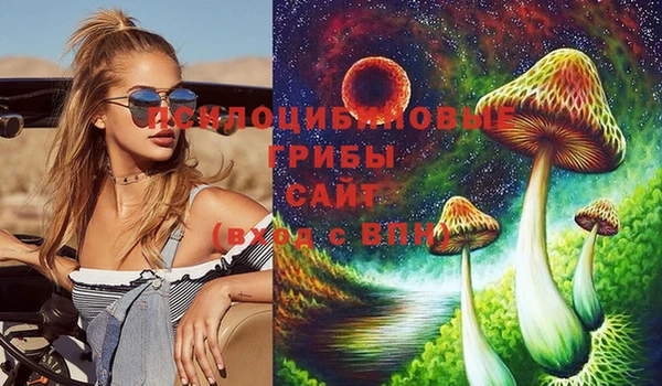 эйфоретик Рославль