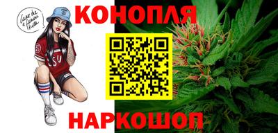 сатива Коломна