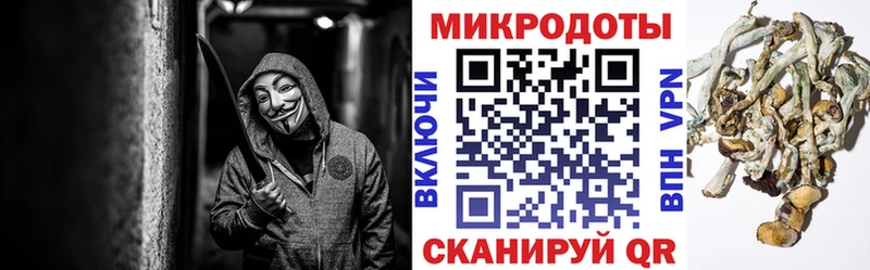 Псилоцибиновые грибы ЛСД  Дятьково 